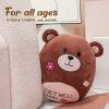 AmyToo 14.5 Get Well Soon Teddy Bear Plush Pillow Soft Teddy Bear Stuffed Animal Body Pillow Gifts for Kids Girls and Boys After Surgery view 4