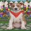 Spring Floral American Staffordshire Dog Jigsaw Puzzle for Adults - Animal Printed Interlocking Puzzle Game Gift for Dog Lover's- 500 Pcs 14"x20", PZLE69329 view 1