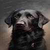 1000 Piece Wooden Puzzles for Adults & Kids- Black Dog - Leisure Toys for All - Best Gift for Birthday Party - Stress-Free Starter Puzzle for Beginners view 1