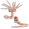 Alien Plush Toy Prometheus Stuffed Animal for Fans of The Classic Horror Film - Get Your Claws on The Scariest Softie (Facehugger) view 3