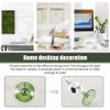 Srutueo Green Solar Power Radiometer Crookes Solar Energy Vanes Windmill Gift Home Desk Decoration view 2