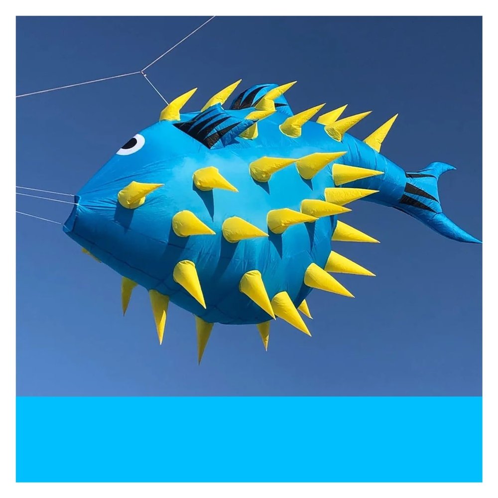 3D Fish Kite, 3 m / 5m Dolphins Balloonfish Globefish Puffer Fabric Kite, Windsock Kite Soft Kites (Color : 5m, Size : A)
