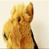 Airedale Terrier 12" Plush Toy Dog Plushie Can Be Personalized & Customized With An Engraved Tag, Collar and Stunning Gift Wrap view 3