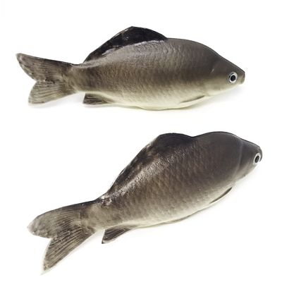 BBAUER 2PCS Fake Fish Artificial Sea Fish Model Simulated Animal Fish Playset Model for Kitchen Decor Photography Props Food Display Favor