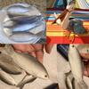 BBAUER 2PCS Fake Fish Artificial Sea Fish Model Simulated Animal Fish Playset Model for Kitchen Decor Photography Props Food Display Favor view 3