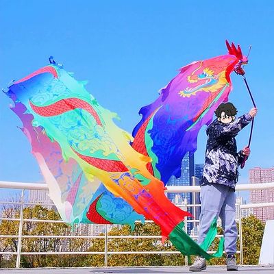 Dragon Dance Ribbon Poi, Outdoor Exercise Dragon & Phoenix Silk-Like Ribbon Streamer Flow Toy Set with Real-Like Dragon Head for Beginner and Pro (Rainbow Coiled Dragon, 26.2 ft)