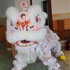 14 Inch Double Lion Dance Mascot Costume Chinese Traditional Dragon Lion Dance for 15+ Age Party Carnival Festivall(Light Pink) view 4