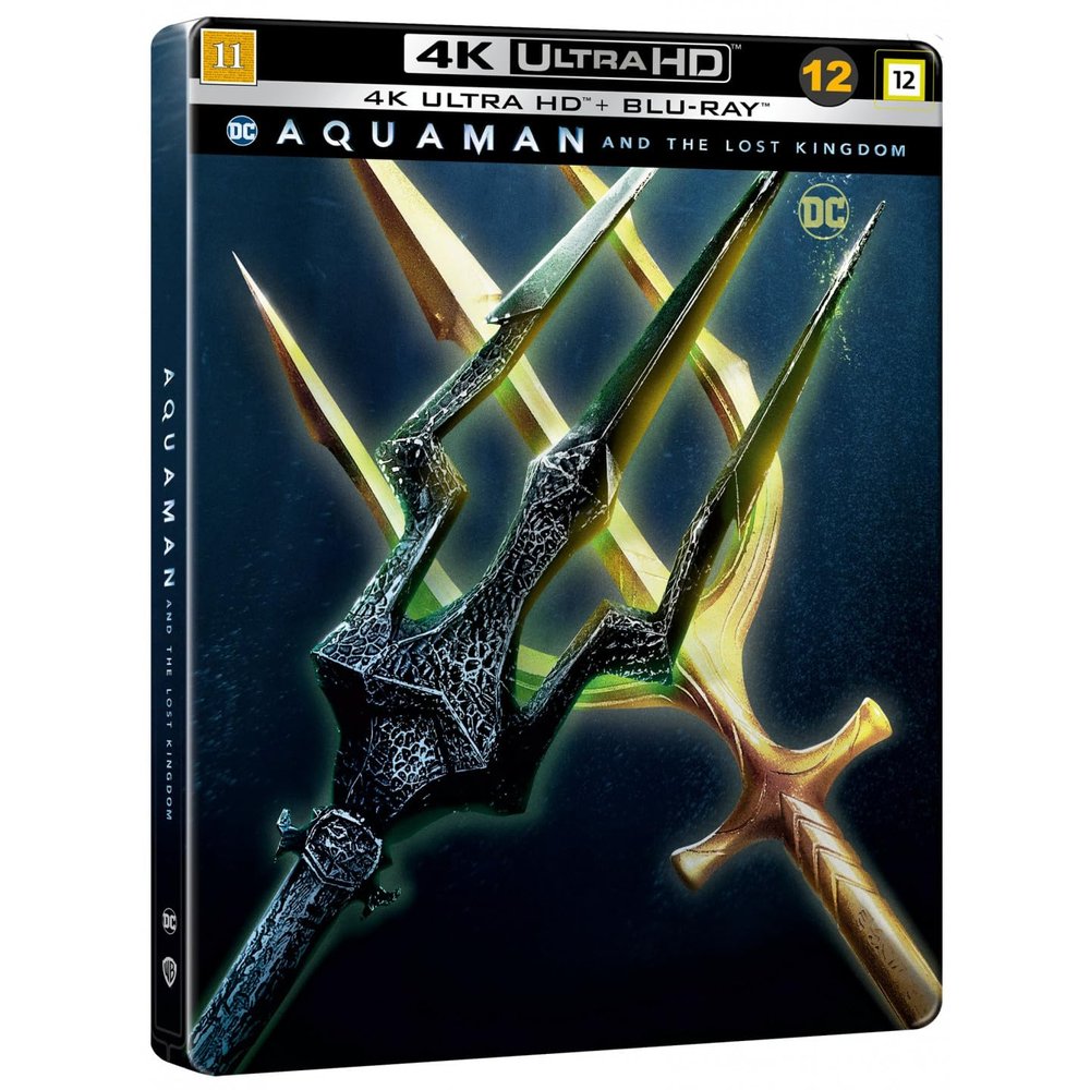 SF STUDIOS Aquaman and the Lost Kingdom, Black, 1303401