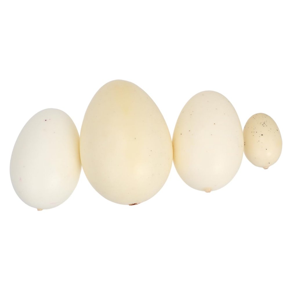 Toyvian 4pcs Assorted Speckled Eggs Model Lifelike Simulation Eggs for Boy Girl Includes Quail Chicken and Goose Designs for Gifts and Creative Play