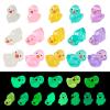 FASHEWELRY 60pcs Luminous Miniature Duck Figurines Resin Glow in The Dark Figures Small Animal Garden Decor DIY Landscape for Home Decor view 1