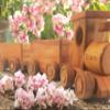 Personalized Wooden Train Set Toddler Outdoor Toys, Customized Wooden Train Toys For Ages 2-4, Montessori Toys For 1 Year Old, Toddlers Birthday Gifts For 2 Year Old Boy (Locomotive + 4 Wagon) view 2