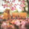 Personalized Wooden Train Set Toddler Outdoor Toys, Customized Wooden Train Toys For Ages 2-4, Montessori Toys For 1 Year Old, Toddlers Birthday Gifts For 2 Year Old Boy (Locomotive + 2 Wagon) view 2