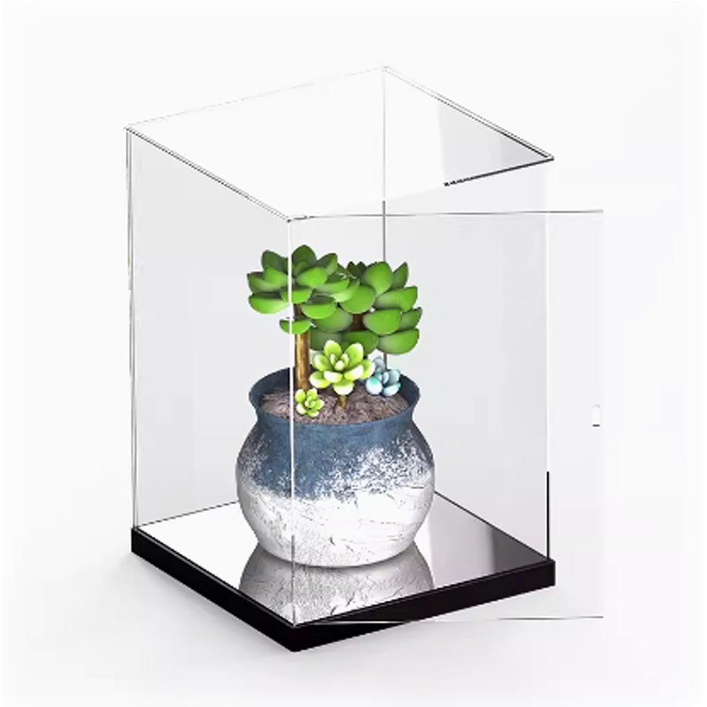 Acrylic Display Case for Succulent Transparent Dustproof Display Box Compatible with Succulent Kits,Model not Included 20 x 10 x 20CM
