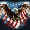 1000 Piece Wooden Puzzles - Abstract American Eagle - Jigsaw Puzzles for Adults Kids, Each Piece is Unique, Perfect Family Leisure Toys & Gifts - Puzzles Entertainment Collectibles view 1