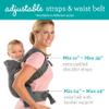 Infantino 3-in-1 Tummy Time, Sit Support & Mini Gym - Removable Toy Arch - Musical Koala Pal & Flip Advanced 4-in-1 Carrier - Ergonomic, Convertible view 3