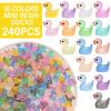 CRTWDMAN 240Pcs Luminous Mini Resin Ducks,Tiny Duck Glow in The Dark,Little Ducks,Small Ducks to Hide,Miniature Figures for Party Favor view 4