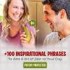 DR DINGUS Emotional Support Pickle - +100 Positive Inspirational Phrases - Press Button - Funny Family Friendly Gag Toy for Class, Office, Gift, Friends view 2