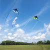 2 Pack Delta Kites and Kite String Reel Winder for Kids & Adults, Extremely Easy to Fly Kite, Best Kite for Beginner(Green & Blue) view 2