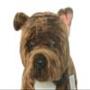 Brindle Staffordshire Bull Terrier Plush Toy Dog Plushie Can Be Personalized & Customized With An Engraved Tag, Collar and Stunning Gift Wrap view 1