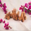 Personalized Wooden Toy Duck Dolphin &Turtle, Set of 3 Organic Wood Animal Toys Gift For Kids, Customized Wooden Animal Push Toy With Wheels for Babys, Montessori Wood Animal Sensory Toys for Girls view 2