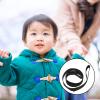 UPKOCH 4pcs Detachable Boy Girl Leash Safety Walking Rope for Boy Girl for Daycare Crowded Areas Durable Easy to Clean Prevents Boy Girl Loss with Comfortable Grip Handles view 4