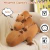 SQEQE Weighted Capybara Plush, Weighted Capybara Stuffed Animal, Cute Plushies Soft Pillow Toy Gift for Kids Adults 9.8 Inch, 0.8 Lbs view 2