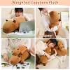 SQEQE Weighted Capybara Plush, Weighted Capybara Stuffed Animal, Cute Plushies Soft Pillow Toy Gift for Kids Adults 9.8 Inch, 0.8 Lbs view 4