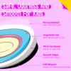 50 PCS Magic E Object Magnets, Magnetic Thickened Fridge Magnets Adorable Educational Phonics Learning Toys for Preschooler, Kindergarteners, Kids 3+ view 3