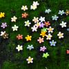 100PCS Mini Resin Daisy Flowers Dollhouse Mini Things Miniature Flowers for Crafts Tiny Things for Fairy Garden Dollhouse Micro Landscaping view 2