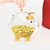 1/2 Clear Coin Banks - Unbreakable Money Saving Jar, Adorable Glass Piggy Bank | Saving Money Bank,Creative Keepsake Collectible Coiins Bank,Decorative Shape Saving Box for Home,Boys,Girls view 3