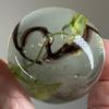 Big Game Toys Toe Breaker 50mm (2") Commando Green/Brown Wire Pull Marbles Glass view 2