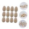 Anneome 12pcs Wooden Bird Painting Toys Boys and Ornaments for Creative Play Blank Bird Eggs for Painting Decor Educational Art Supplies view 4
