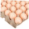 Hemoton 1set Easter Graffiti Model Simulation Eggs Tray for Boys and Girls Crafts for Home Decor and Festive Celebrations view 1