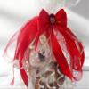Chocolate Labrador 12" Plush Toy Dog Plushie Can Be Personalized & Customized With An Engraved Tag, Collar and Stunning Gift Wrap view 3