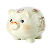 Abaodam Adorable Piggy Bank Coin Saving Pot Ceramic Money Box for Adults Cute Pig Shape Design for Home Decor Birthdays and Special Occasions view 1