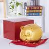 Abaodam 7'' Coin Piggy Bank Ceramic Money Box Creative Saving Pot for Boys and Girls Fun Decorative Pig view 4