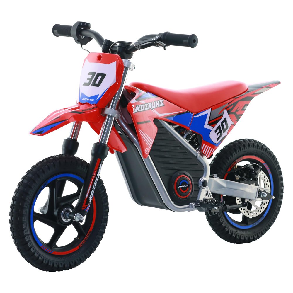 Blissskip Electric Dirt Bike for Boys Girls Ages 3-8, 250W High Racing Competition Grade Motorcycle, Up to 15.5MPH 3 Speed Settings Balance Bike, 12IN Off-Road Tires & Advanced Shock Absorption, Red