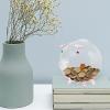 ibasenice Transparent Glass Piggy Bank Cute Pig-Shaped Money Pot for Boys and Girls Creative Decorative Desktop Decor for Boys and Girls view 2