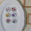 6PCS Handcrafted Miniature Ceramic Plates in 1:12 or 1:6 Scale, Vintage Porcelain Playhouse Dishes (Garden-A, 3CM) view 3