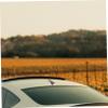 ToysCentral Basics 5pcs Car Wing Car Tail Decoration Rear Spoiler for Car Tail Wing Mini Spoiler for Car Universal Trunk Spoiler Tail Wing for Car Vehicle Rear Spoiler Cars Abs Rear Wing Bumper view 3