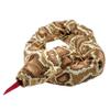 AIMOFAMAG Magic Wand to Snake Easy Joke Magic Trick Street Funny Prank Tool with Realistic Jumping Effect - Surprise Prank Gift for April Fools' Day and Halloween view 2