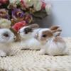 Mini Simulation Rabbits, Realistic Cute Plush Rabbits Lifelike Plush Bunny Realistic Rabbit Miniatures Cute Stuffed Animal Figurines,Rabbits Home Party Decors Model Gift Miniatures Decorations 1 unit view 2