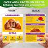 QUOKKA World Map Puzzles for Kids Ages 4-6 - 70 Pcs Floor Puzzles for Kids Ages 4-8 Preschool Activities - Includes 50 Cards with 400+ World Facts - Continent-Shaped Jigsaw Puzzle Gift for Girls Boys view 4