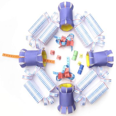 Cell Nucleus 3-D Paper Model Making Kit - Individual Student Edition (17-7712)