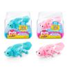 Pets Alive Robo Axolotl Swimming, Electronic Pet Toy (2 Pack) by ZURU view 1