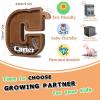 12" Custom Extra Large Wooden Letter Piggy Bank (Laser Engraved Name) Personalized Piggy Bank for Kids Boys Girls Customized Coin Bank Perfect Personalized Gift for Birthday and Festival-C Piggy Bank view 3