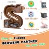 12" Custom Extra Large Wooden Letter Piggy Bank (Laser Engraved Name) Personalized Piggy Bank for Kids Boys Girls Customized Coin Bank Perfect Personalized Gift for Birthday and Festival-S Piggy Bank view 3