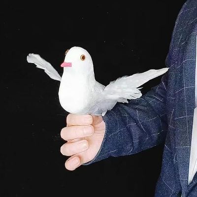 ToysCentral Basics Electronic Bionic Dove 2.0 Magic Tricks Classic Appearing Dove Magic Dove Production Stage Illusions Gimmicks Mental Prop for Magicians, White