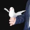 ToysCentral Basics Electronic Bionic Dove 2.0 Magic Tricks Classic Appearing Dove Magic Dove Production Stage Illusions Gimmicks Mental Prop for Magicians, White view 1