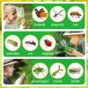 Biubee Bug Catcher for Kids- Sturdy Bugs Catching Kit with Collector Butterfly Net Tweezer, Bug Habitat Outdoor Explorer Kit Gift for Kids Age 3 4 5 6 7 8, 8Pcs, Green view 4